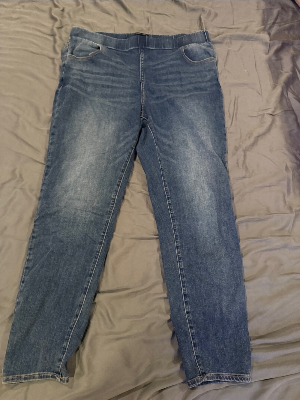 Universal Standard Women's Mid-Blue Stretch Jeggings